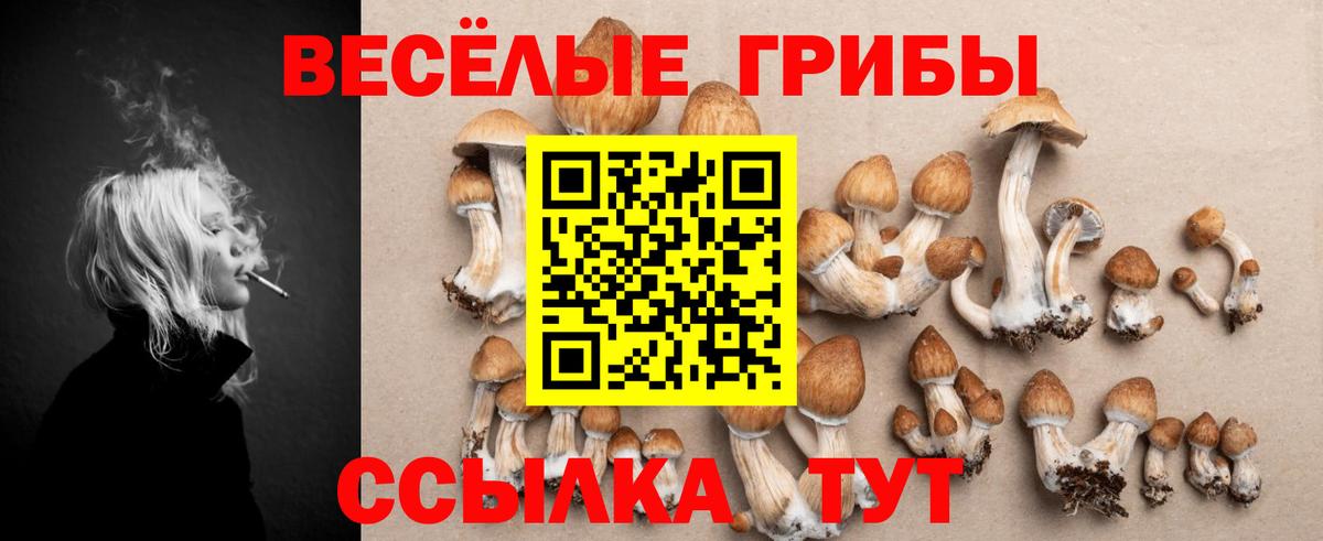 Псилоцибиновые грибы мицелий  Вход с VPN  купить наркотики цена  Воткинск  Галлюциногенные грибы Psilocybine cubensis 